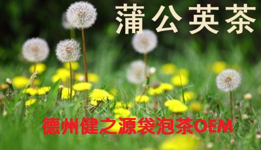 蒲公英茶，今天您喝了嗎？